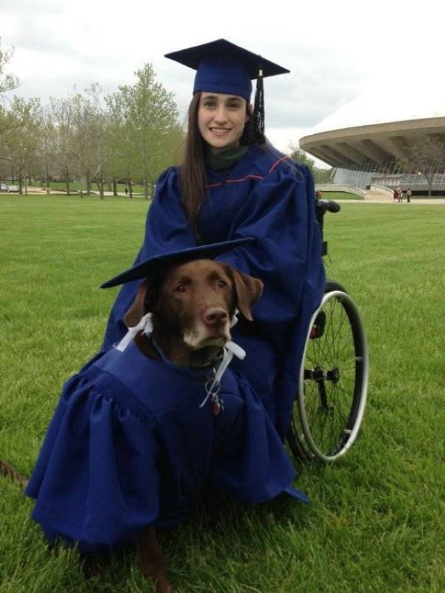 Service Dogs Hero