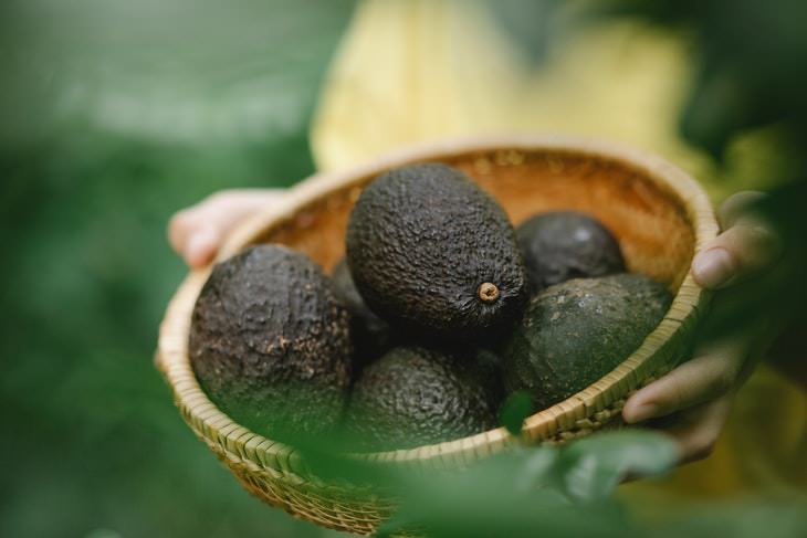 Dishwasher Hacks avocados