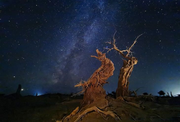 Stunning Winners of the Mobile Photography Awards  Photographer Of The Year Winner: Poplar Under The Sky By Dan Liu