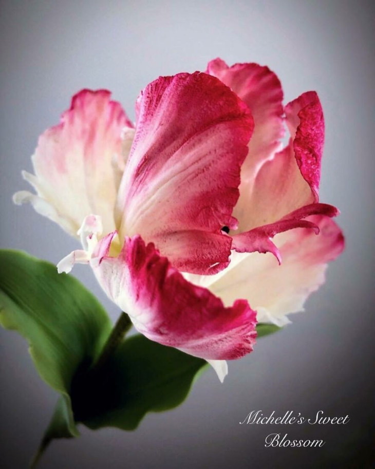 Michelle Nguyen sugar flowers