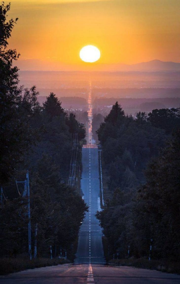 Perfectly-Timed Shots, LANDSCAPE