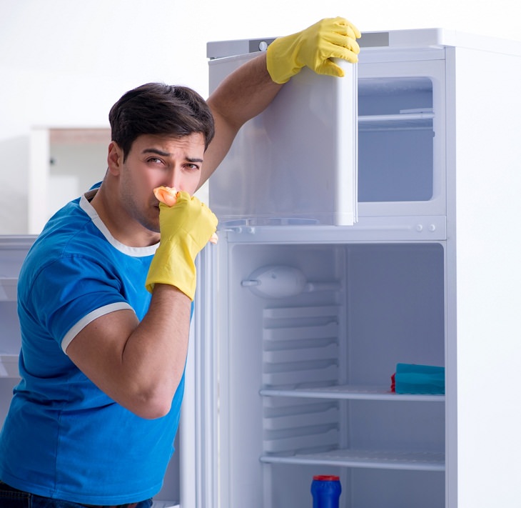 Dirtiest Kitchen Items,  Refrigerator