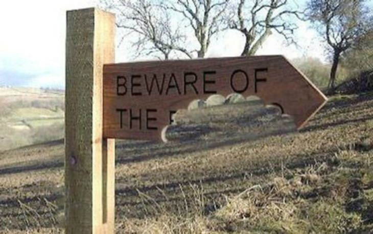 “Beware of the Dog” Signs and Dogs beware of the