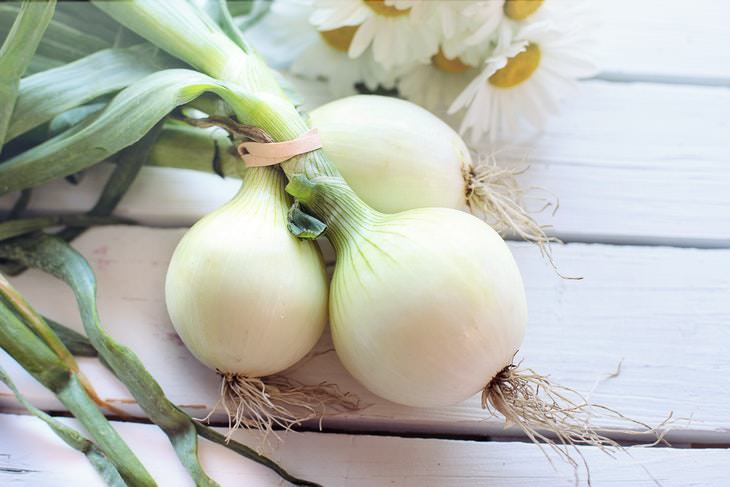 Natural Pest Control onions