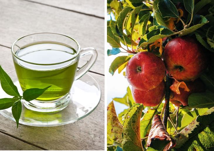 Food Pairings That Are Healthier When Combined Apples and green tea