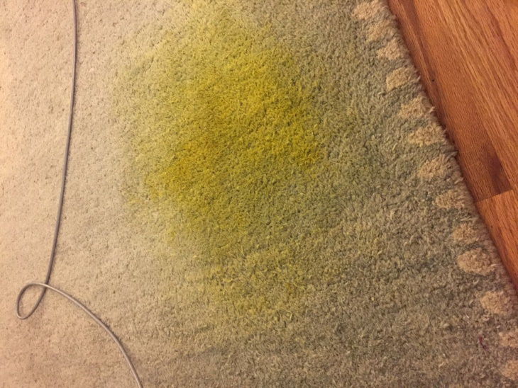How to Remove Turmeric Stains carpet
