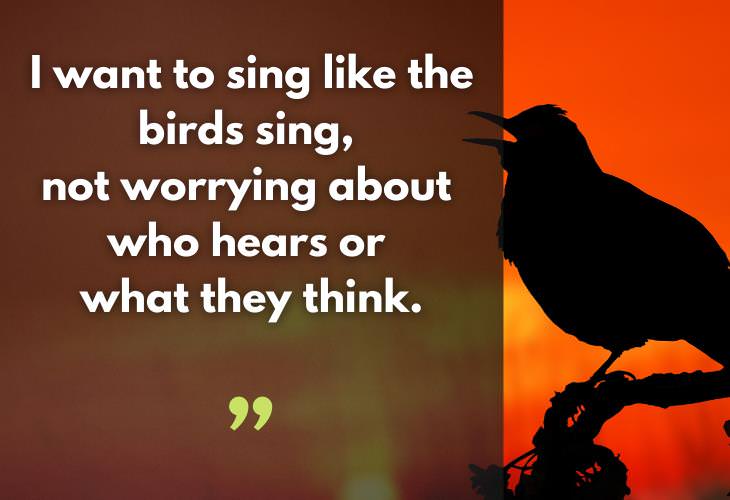  Rumi Quotes, birds, sing