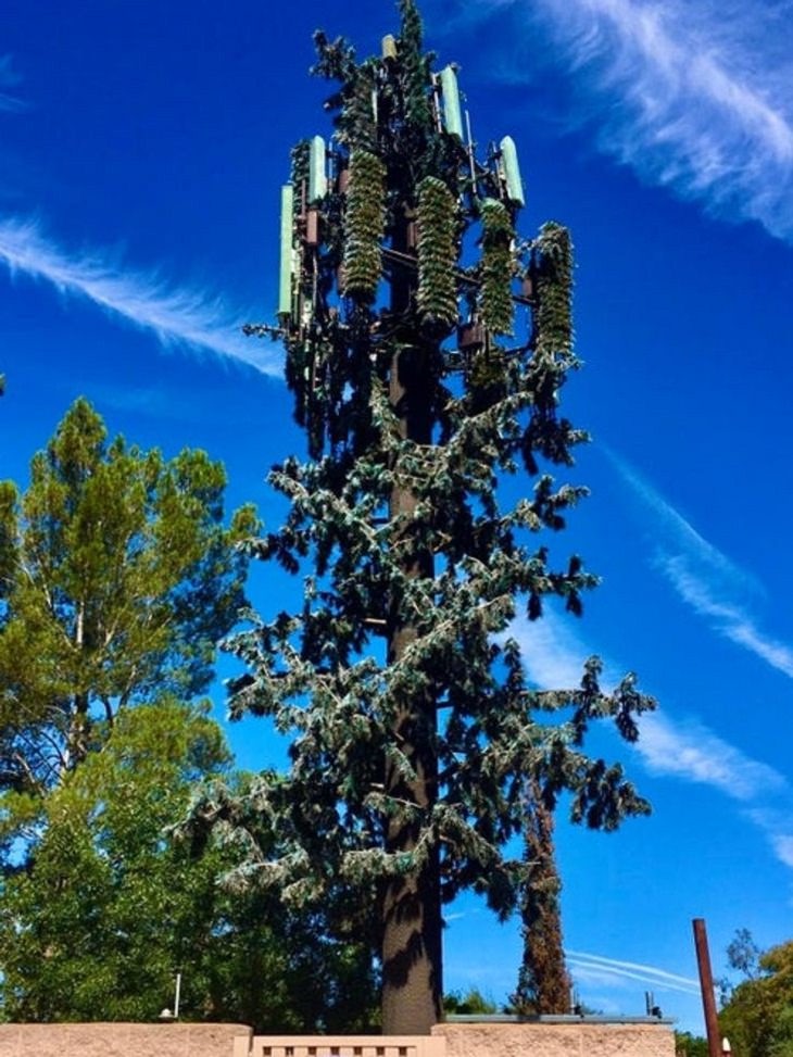 Nature Finds a Way, cellular transmission tower.