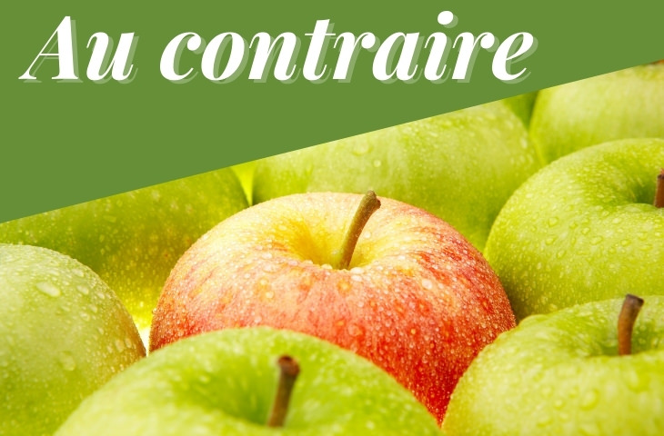 French Phrases in English Au contraire