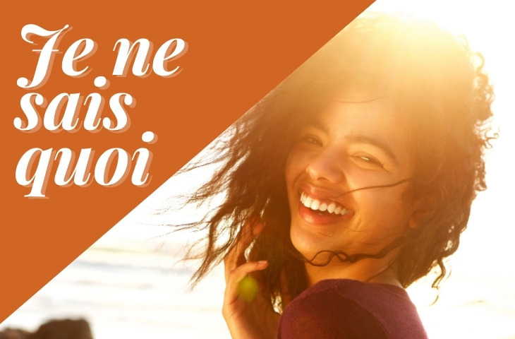 French Phrases in English Je ne sais quoi 