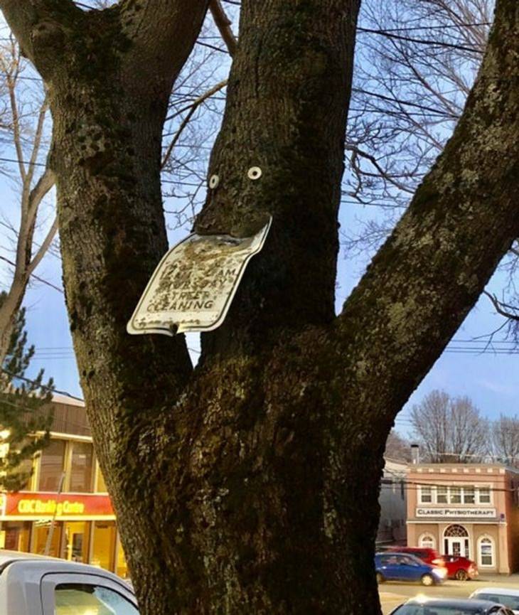 Nature Finds a Way, tree 