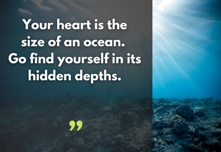  Rumi Quotes, ocean