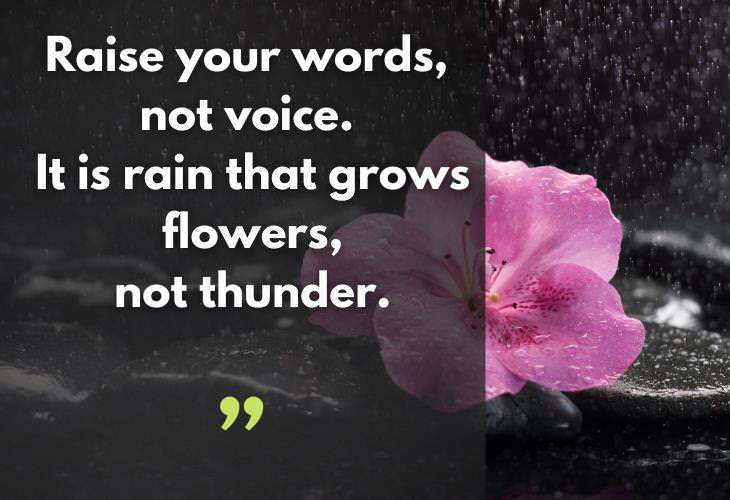  Rumi Quotes, flower