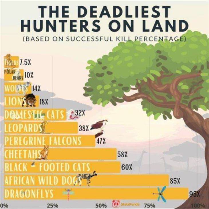 Practical Charts hunters on land