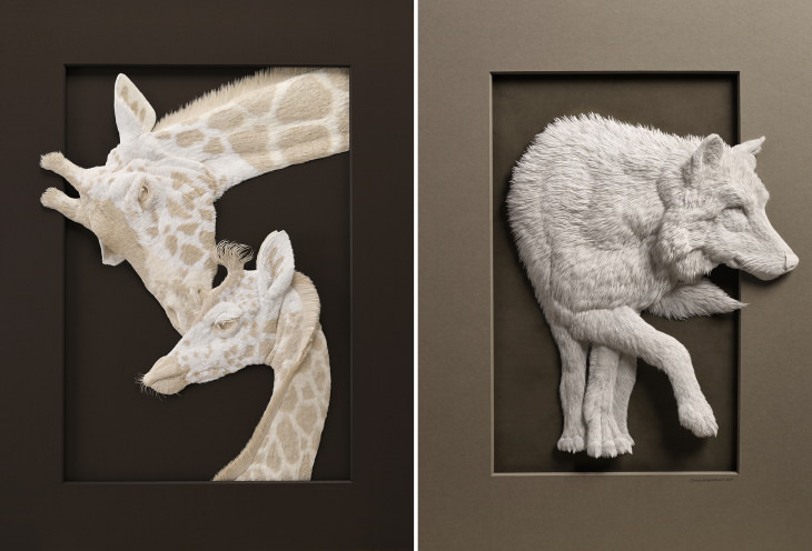 Paper Animal Art by Calvin Nicholls