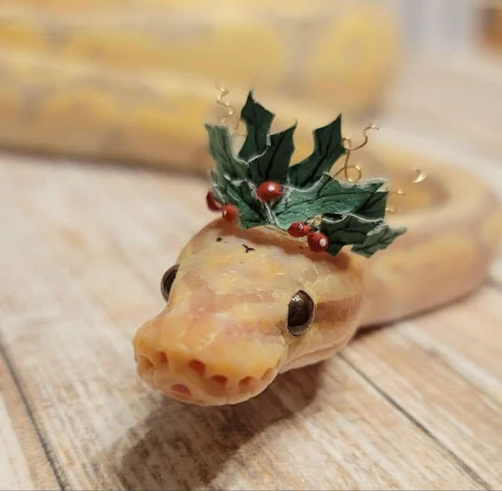 16 Funny Photos of Snakes in Hats leaf crown
