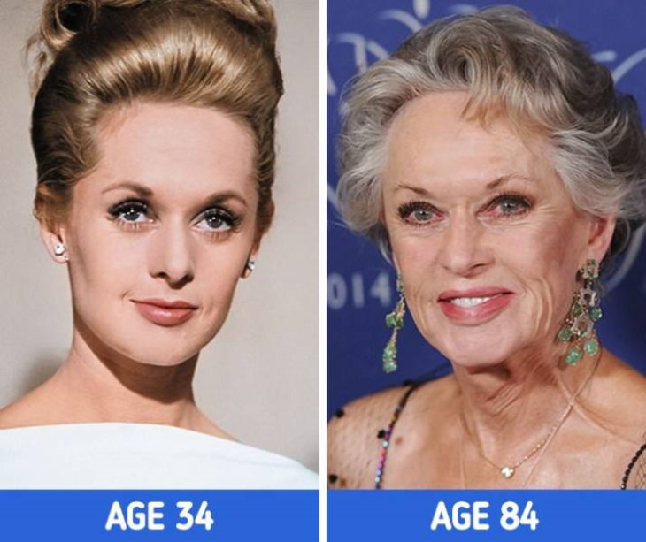 Actresses at Different Stages of Their Lives  Tippi Hedren