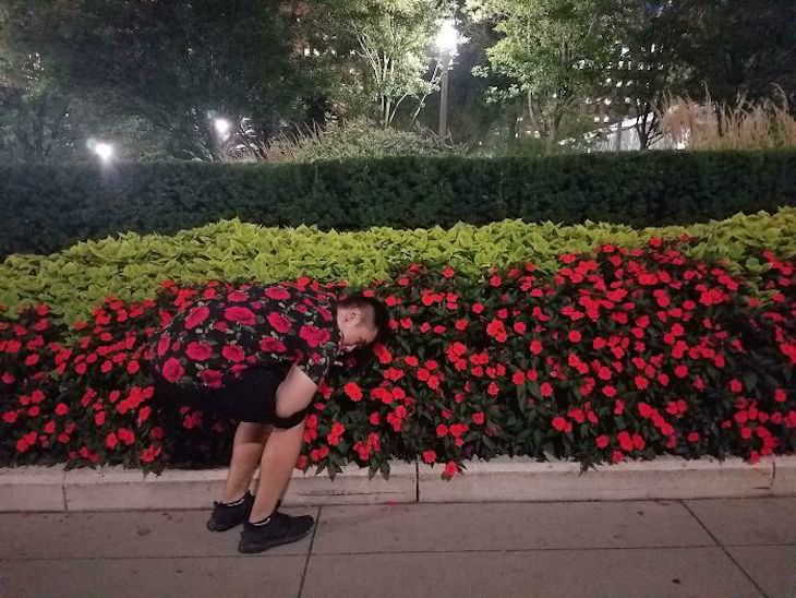 16 Images of Perfect Accidental Camouflage flowerbed and shirts