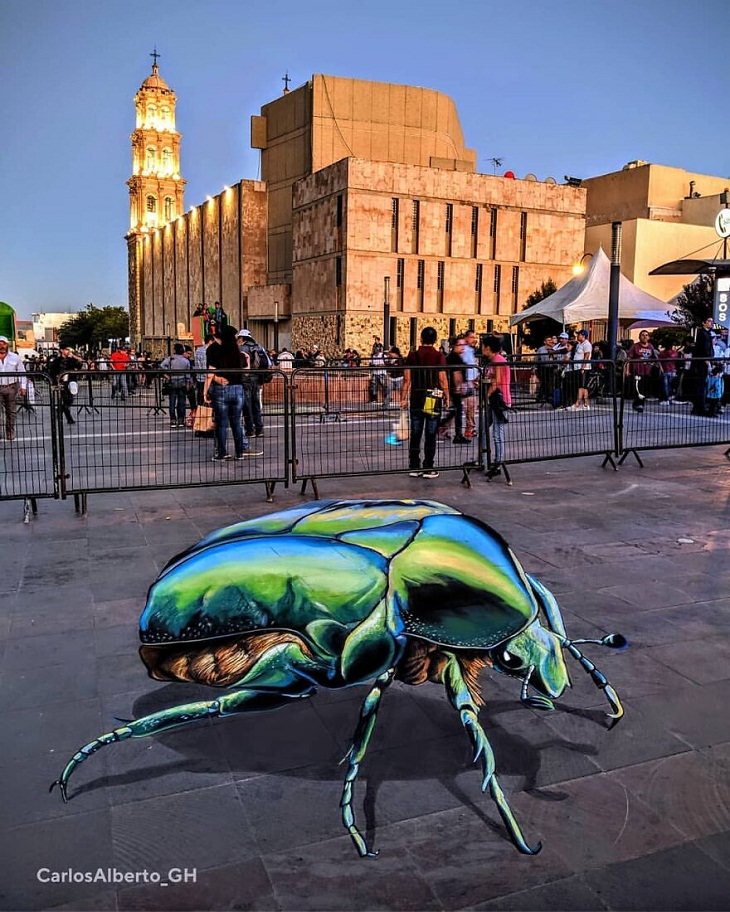 Arte Callejero En 3D Escarabajo
