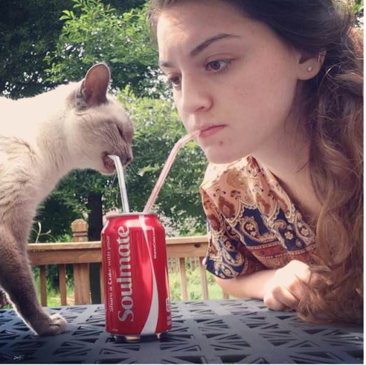 12 Heartwarming Moments of Love and Closeness cat drinking through a straw