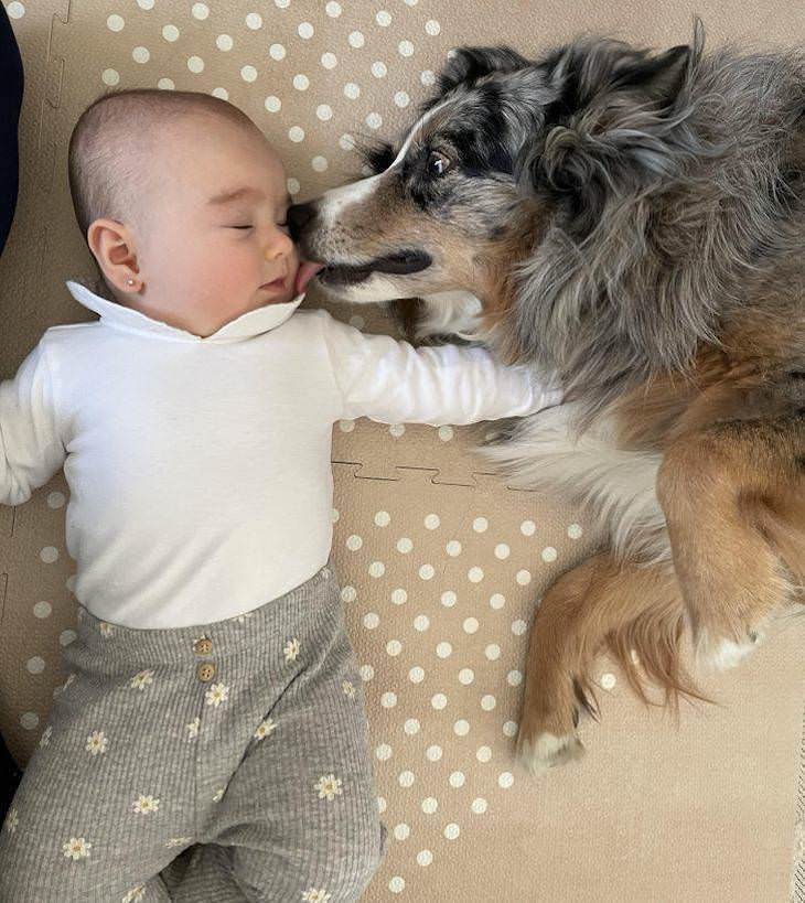 12 Heartwarming Moments of Love and Closeness dog and baby