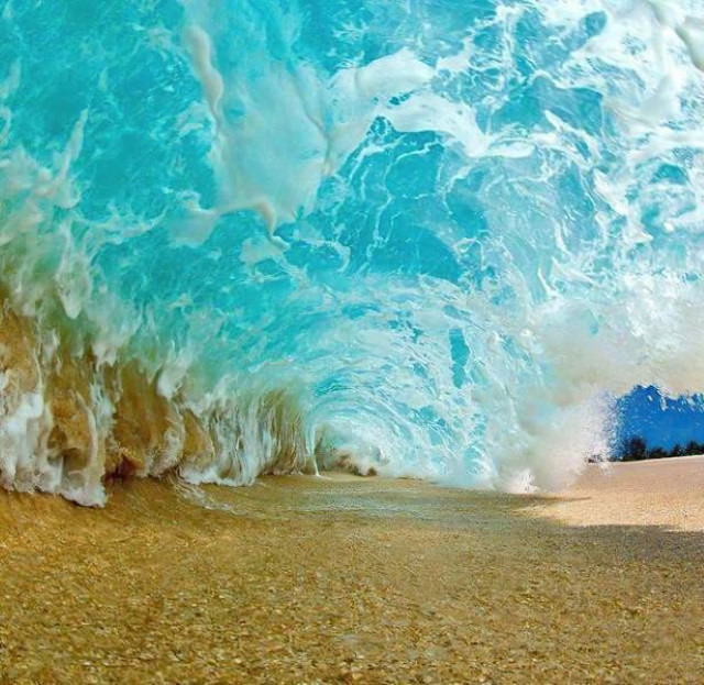 Poignant Photos Beneath a wave