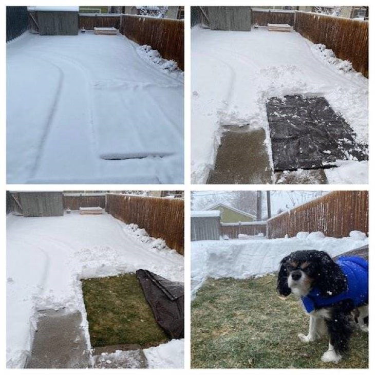 Household Tricks a tarp for dogs