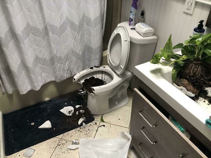 Home Improvement Projects Gone Wrong broken toilet
