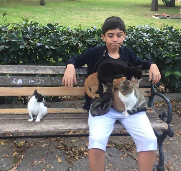 Pets and Kids Caught in Sweet and Silly Moments cats sitting on boy