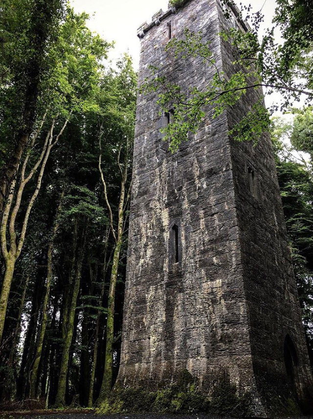 Amazing Places Irish forest