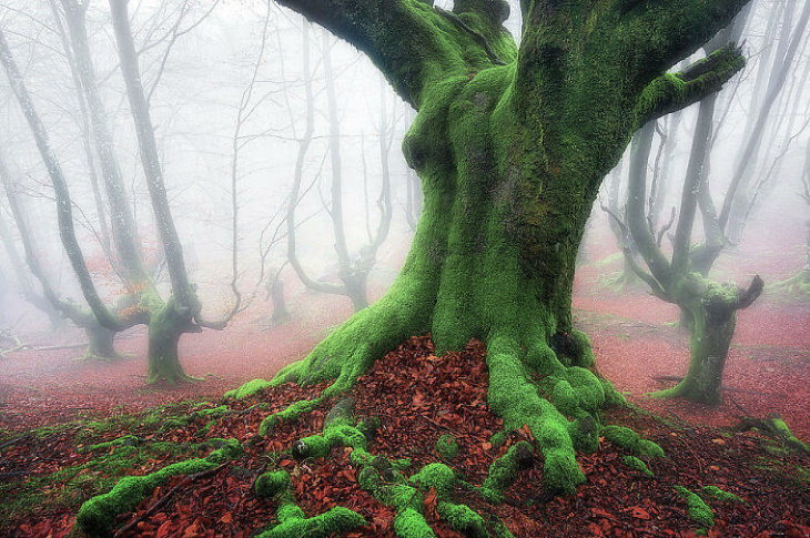 Amazing Places Basque Country, Spain