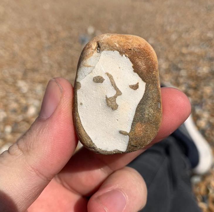 Unintentional Works of Art Created by Nature Picasso pebble