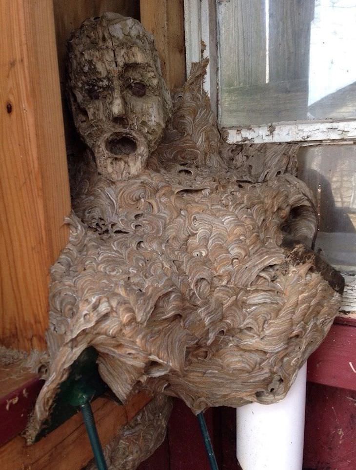 Unintentional Works of Art Created by Nature hornet's nest