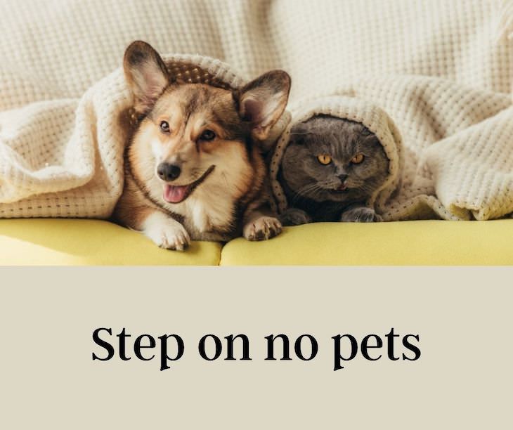 13 Funny Palindromes That Will Make You Giggle Step on no pets