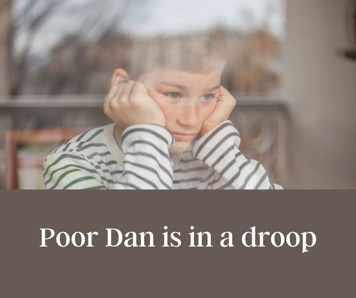 13 Funny Palindromes That Will Make You Giggle Poor Dan is in a droop