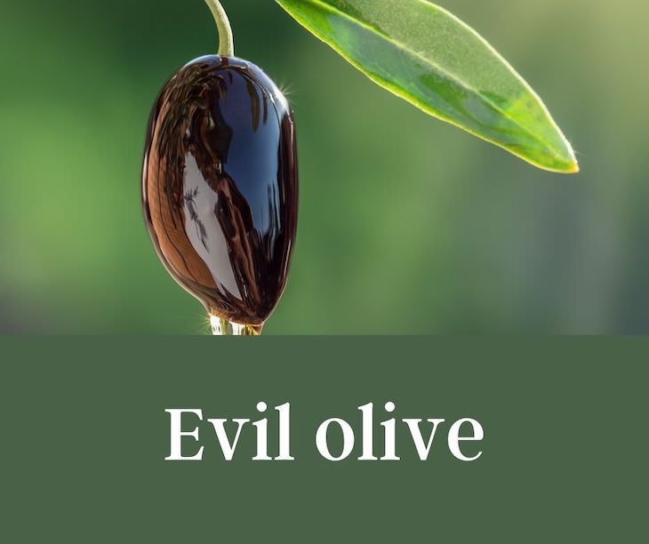13 Funny Palindromes That Will Make You Giggle evil olive