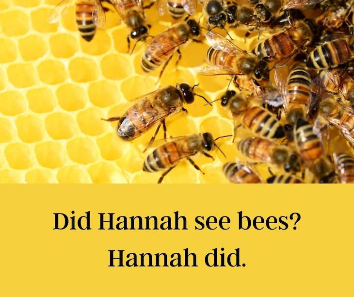 13 Funny Palindromes That Will Make You Giggle Did Hannah see bees? Hannah did.