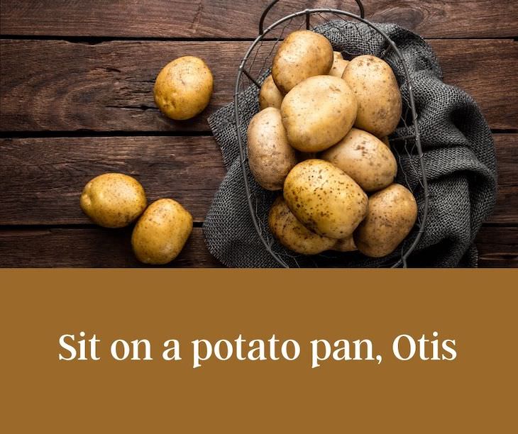 13 Funny Palindromes That Will Make You Giggle Sit on a potato pan, Otis