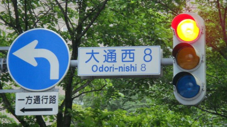 Odd Encounters in the World That Seem Ordinary to Locals  Japanese traffic lights