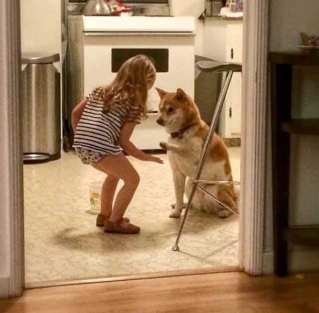 Animal Photos Snapped at the Perfect Time high five