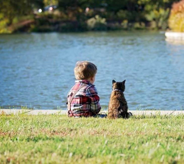 Animal Photos Snapped at the Perfect Time  Enjoying the view together