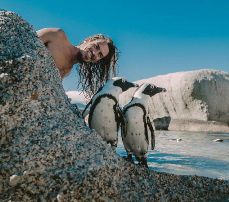 Animal Photos Snapped at the Perfect Time beach group picture