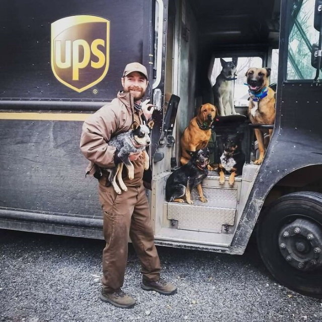 UPS Drivers Take Pictures With Dogs 6 dogs