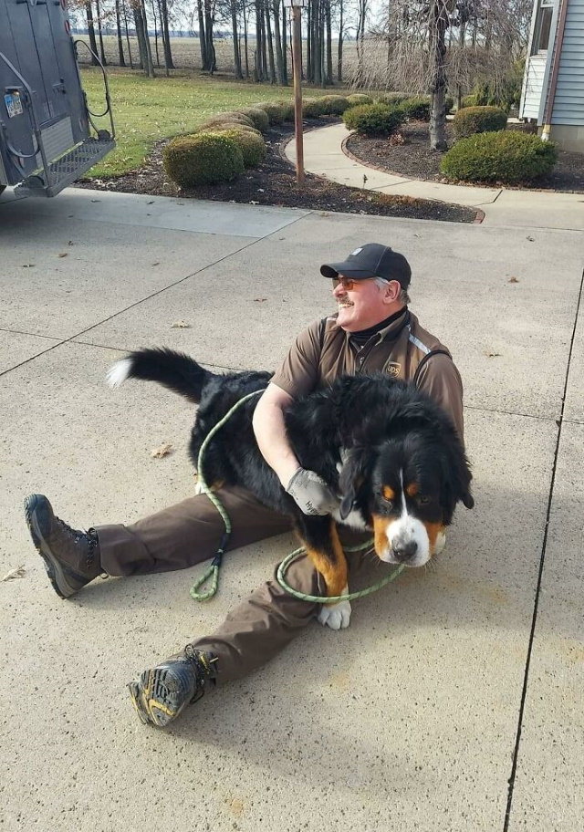 UPS Drivers Take Pictures With Dogs Paul was on one knee until Jax decided that meant "playtime". Wakeman,OH.