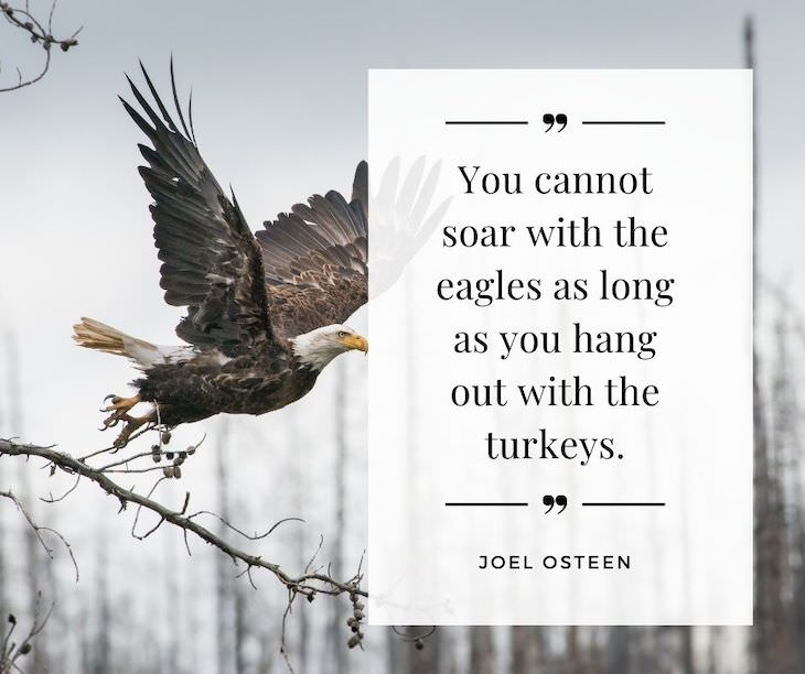 Humorous Inspirational Quotes by Famous People "You cannot soar with the eagles as long as you hang out with the turkeys."
