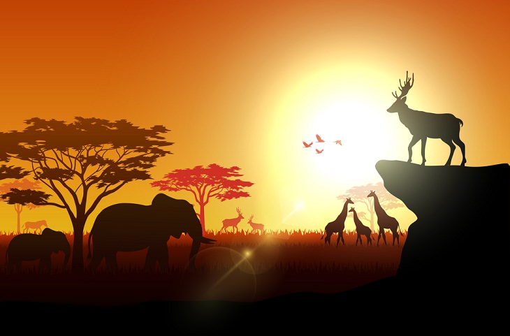 Facts about the African Savanna, global warming , animals