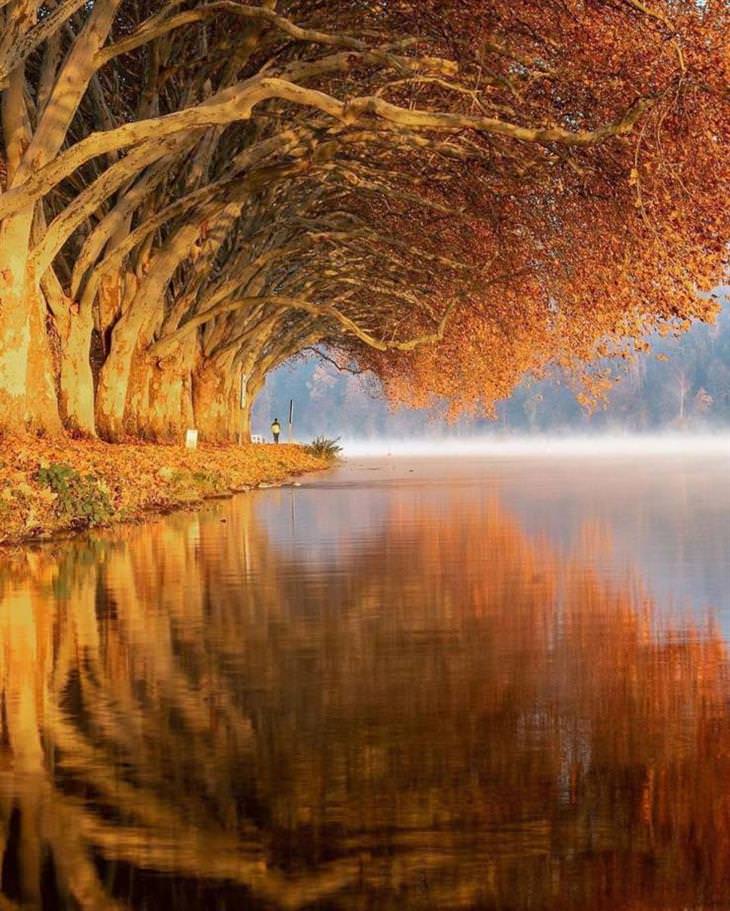 Extraordinary and Poignant Images Lake Baldeneysee in Essen, Germany