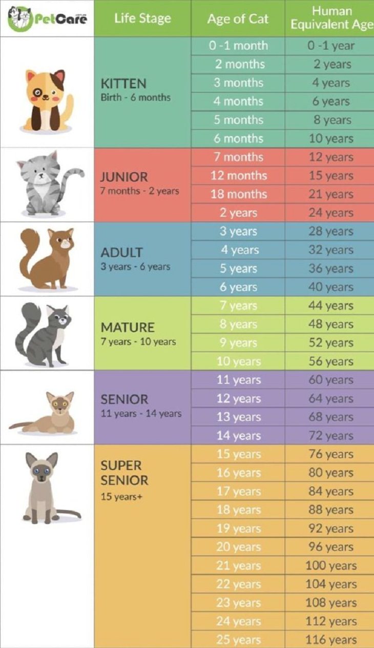 Charts and Guides, pet owners