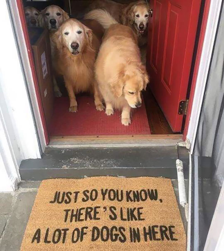 15 Hilariously Creative Doormats many dogs