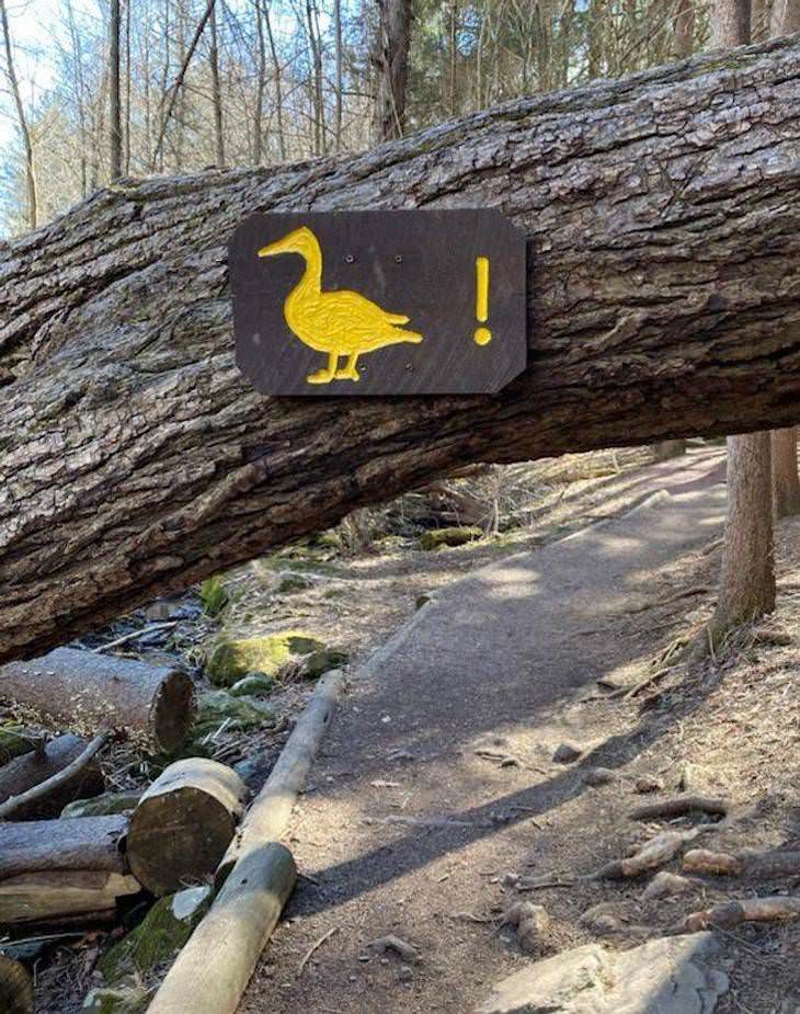 Confusing photos duck sign